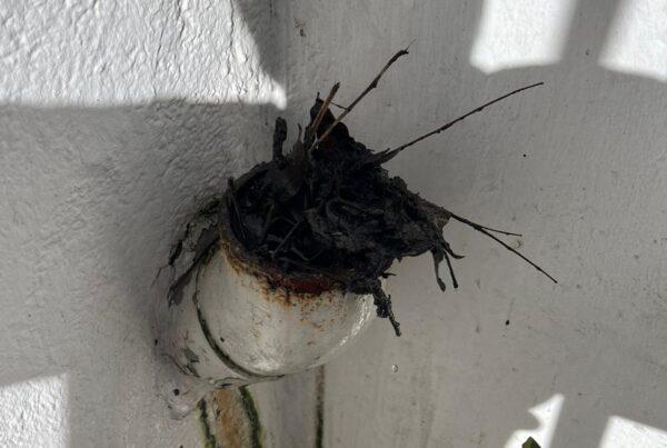 Dachrinnen verstopft