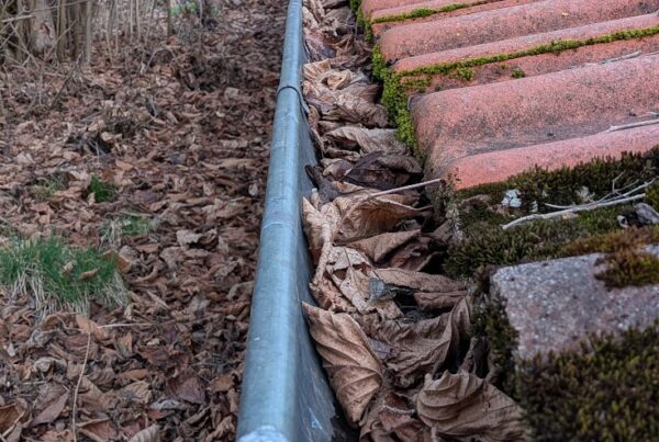 Dachrinnenreinigung im Frühling