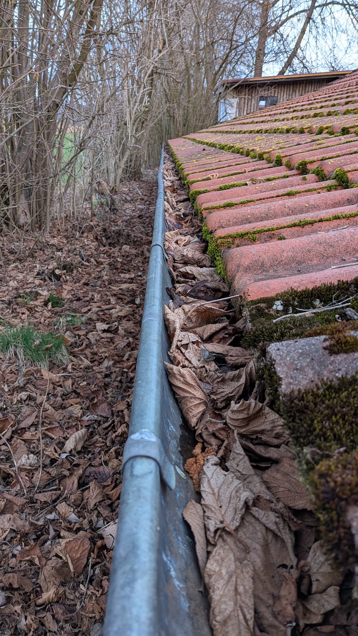 Dachrinnenreinigung im Frühling: Verstopfung & Schäden vermeiden